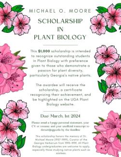 The flyer for the scholarship