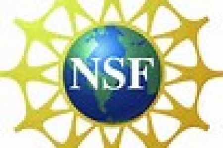 Dissertation improvement nsf