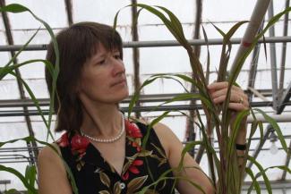 Katrien Devos Named Fellow of Crop Science Society of America