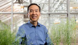 Zheng-Hua Ye featured on UGA Research News