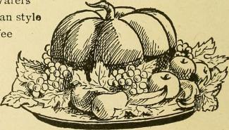 A drawing from an old book of a pumpkin surrounded by varies fruit and vegetables