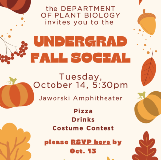 invitation
