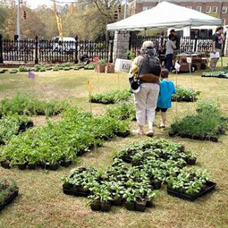 PBGSA Herb Sale 2015