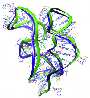 Figure - RNA structure as predicted by the method proposed for the grant