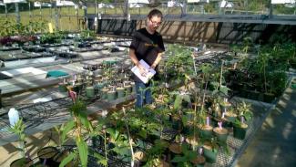 Student tending to potted plants