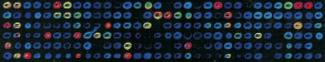 Molecular Genetics