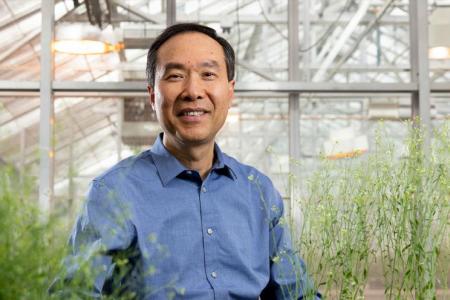 Zheng-Hua Ye featured on UGA Research News