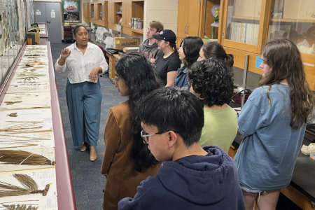 Students in the herbarium