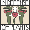 The logo of the podcast "In Defense of Plants". The logo is an artistic rendering of two pitcher plants with an orchid in the middle. The words "In Defense" are at the top and "Of Plants" is at the bottom.